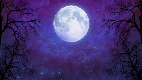 Artistic Full Moon In Starry Night Sky Wallpaper Hd