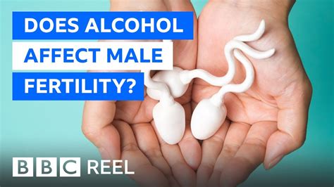 Does Alcohol Affect Male Fertility Bbc Reel Youtube