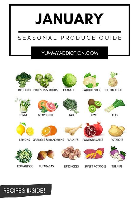 What Fruit And Vegetables Are In Season Now Detailed Produce Guides