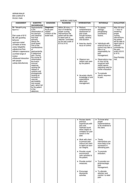 Ncp Pain Pdf Pain Management Pain