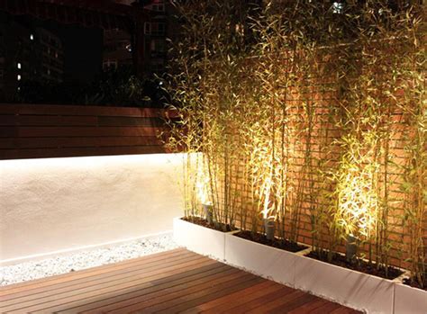 Estancia de aproximadamente 80 m2, con bar abierto, terraza, comedor con otra terraza, cocina, alacena, bodega de vinos, baño de visitas, sala de. Terraza en Madrid con bambú - Diseño de jardines y ...