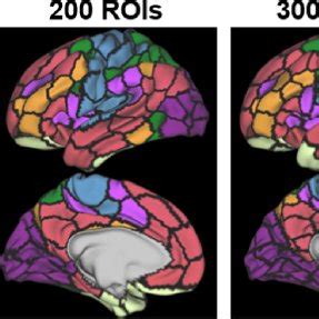 The Implemented Multiscale Atlases Naturally Capture Brain Functional Download Scientific