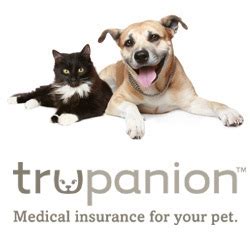 Pet insurance companies in ny also cover cats. Trupanion Most-Liked Pet Insurance Company