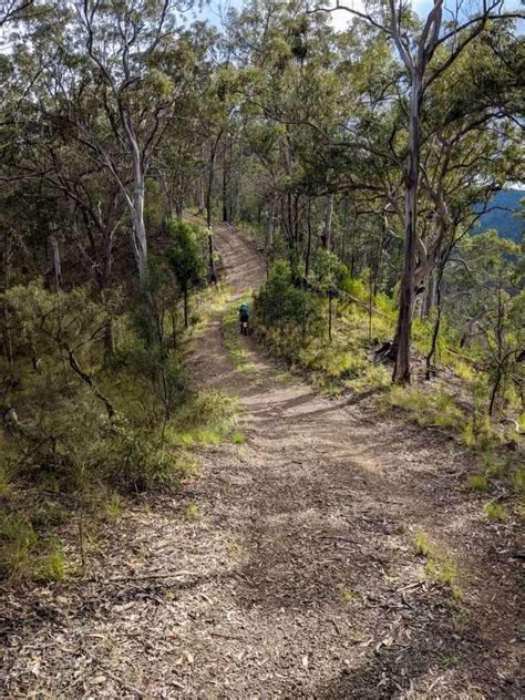 10 Hiking Lessons Learnt On The Green Gully Track We Are Explorers