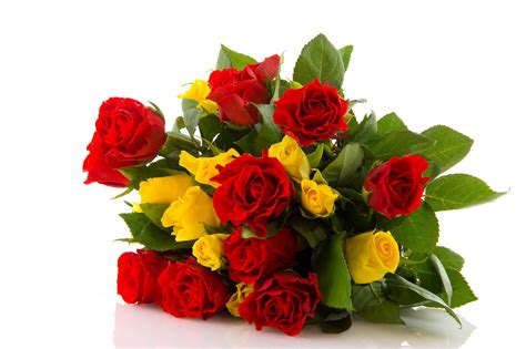 Red And Yellow Rose Flowers Hd Wallpaper Wallpaper Flare