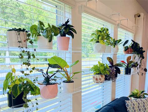 Window Plant Shelf Hanging Shelf Acrylic Plant Shelves Etsy Uk