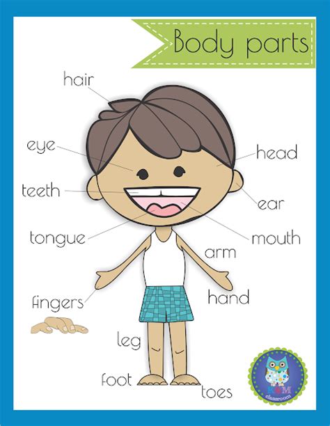 Km Classroom Free Body Parts Poster