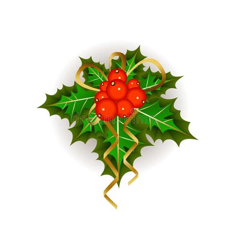 Christmas Mistletoe Stock Vector Illustration Of Floral 45797511