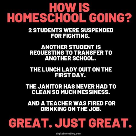 30 Funny Homeschool Memes And Remote Learning Humor