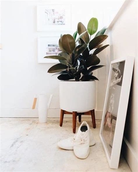 Planting troughs are available in a choice of materials, designed to provide options for every taste and requirement. Plants Discover Mid-Century Turned Leg Standing Planters ...