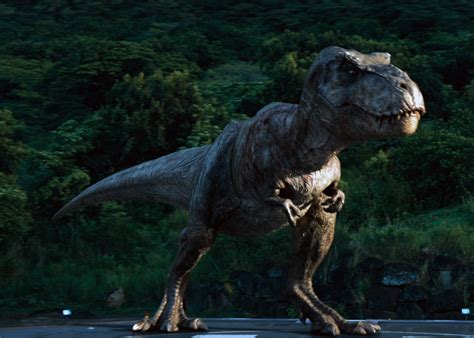 Darse Cuenta Medida Obstinado Como Era El Tiranosaurio Rex Acero
