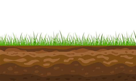 Color Cross Section Of Ground With Grass Vector Stock Vector