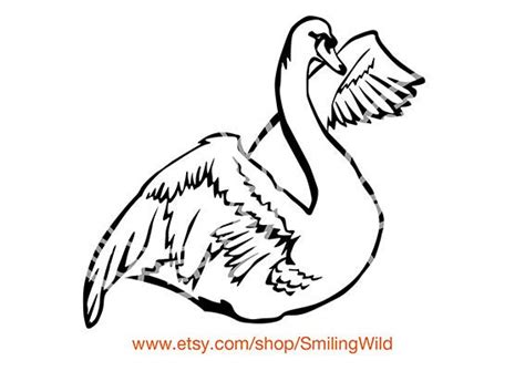Swan Svg Bird Cut File Waterfowl Clipart Vector Graphic Art Etsy Israel