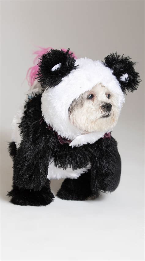 Panda Pooch Dog Costume Fuzzy Panda Bear Dog Costume