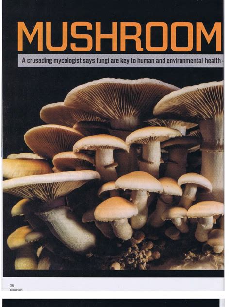Fungi Key To Human And Environmental Health Pdf Mushroom Fungus