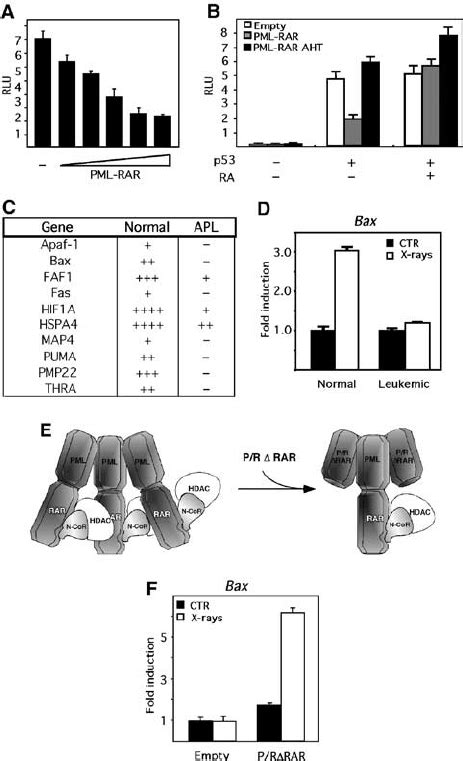 Pmlrar Suppresses P53 Transcriptional Activity In A Hdac Dependent