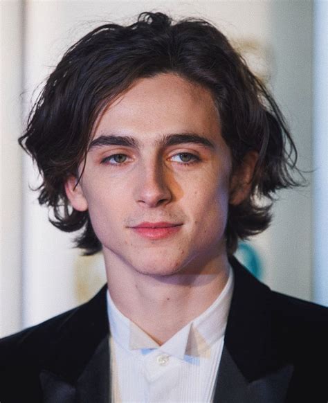 Timothée Chalamet Timothee Chalamet Mens Hairstyles Most Beautiful Man