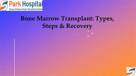 Ppt Bone Marrow Transplant Types Steps And Recovery Powerpoint