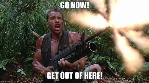 Arnold Schwarzenegger Meme Do It Now
