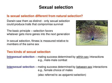 Sexual Selection