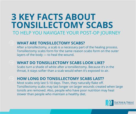 Ear Nose And Throat Tonsillectomy Scabs A Surgeons Post Op Guide