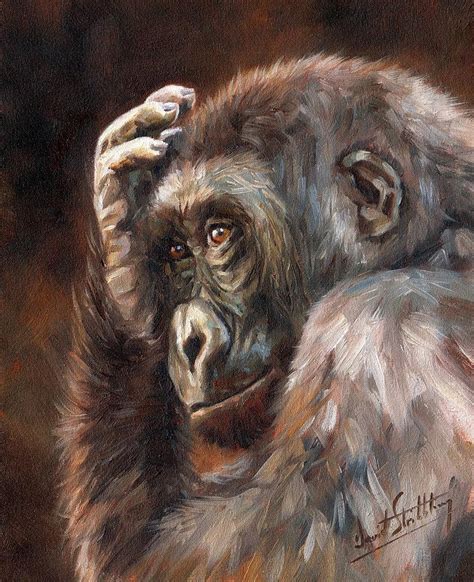 Lowland Gorilla Painting By David Stribbling Fine Art America