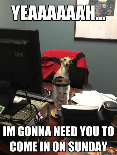 Annoying Boss Dog Memes Quickmeme