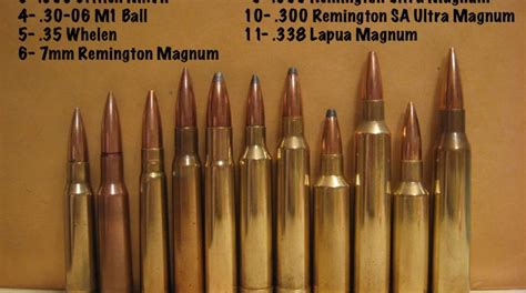 Remington 35 Whelen Ballistics Chart