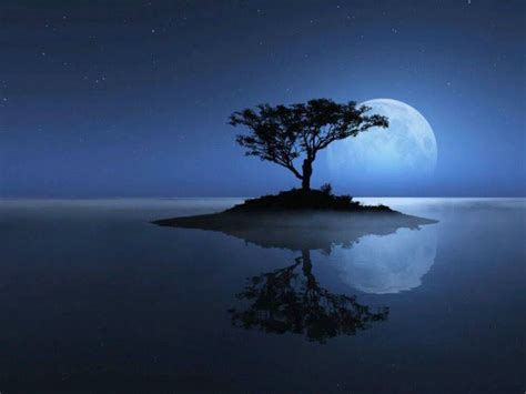Pin By Empress Zion On Solo Tree Beautiful Moon Reflection Pictures