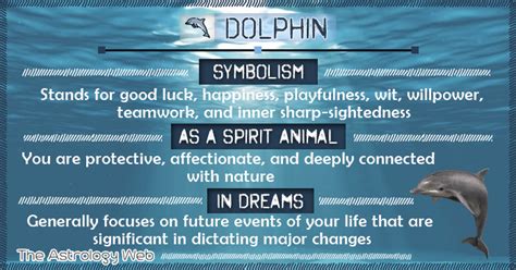 Dolphin Meaning And Symbolism The Astrology Web Animal Spirit