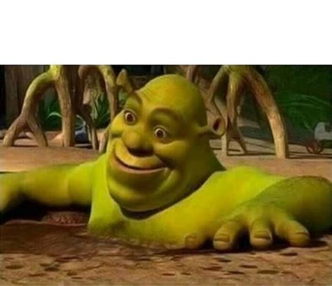 Shrek Face Meme Template Bhe