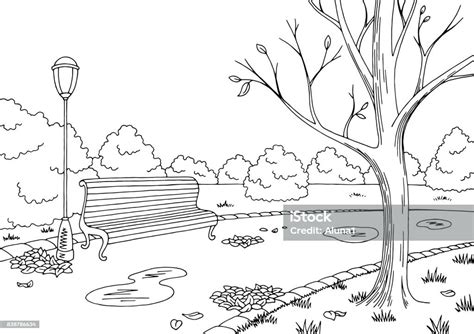 Autumn Park Graphic Black White Landscape Sketch Illustration Vector