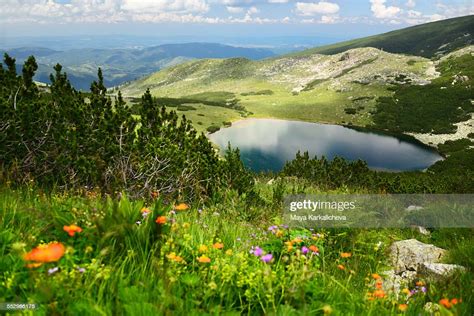 Meadow With Wild Flowers By A Mountain Lake High Res Stock Photo