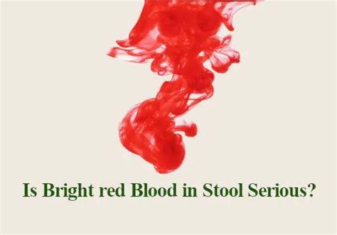 Is Bright Red Blood In Stool Serious Causes And Treatment