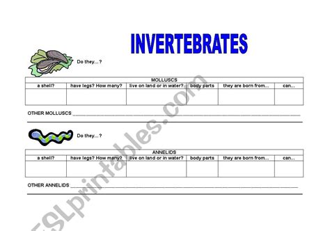 Invertebrates Animals Worksheets