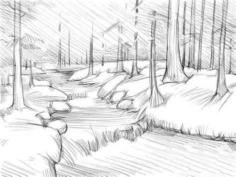 Simple Forest Drawing At Explore Collection Of