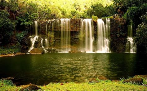 Forest River Waterfalls Hd Wallpaper