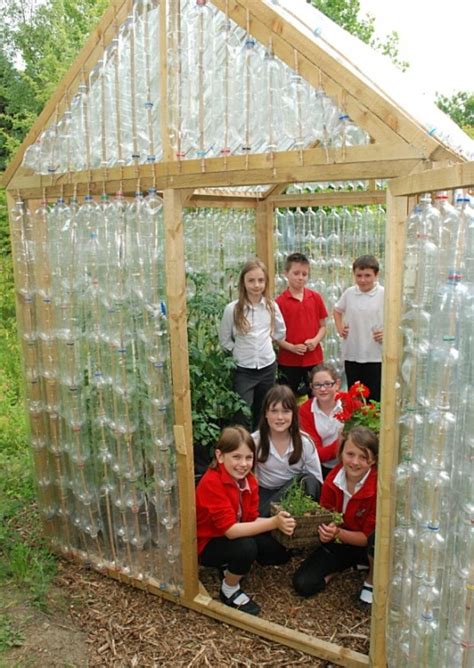 Diy Greenhouse With Plastic Bottles