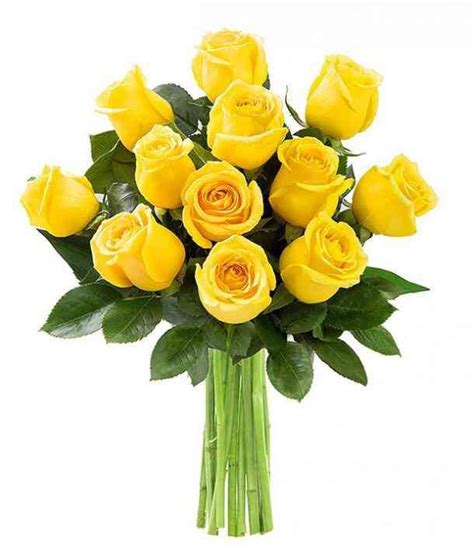 Check spelling or type a new query. 17 Best Happy Birthday Flowers For Your Wife That You Can ...