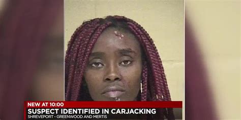 Woman Accused Of Stealing A Police Car Striking 2 Officers