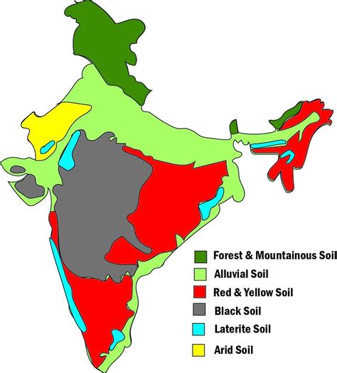 On An Outline Physical Map Of India Mark And Label Major Soil Types