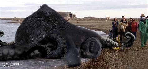 Beached Octopus Worth1000 Contests