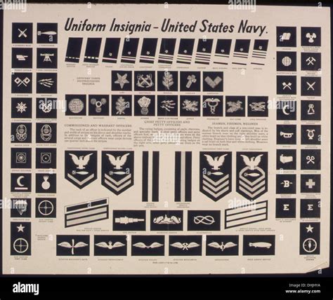 Us Navy Uniform Rank Insignia