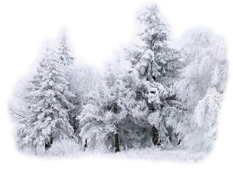 Desktop Wallpaper Snow Winter Drawing Snow Png Download 979735