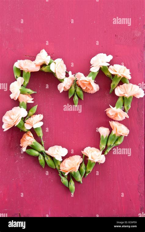 Heart Shape Made From Carnations Stock Photo Alamy