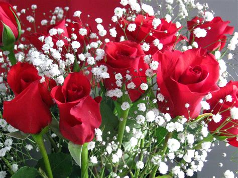 Flower Boutique Online Flower Delivery In India Anniversary Flowers