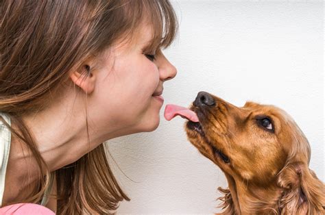 Why Do Dogs Lick Different Kinds Of Licks Cesars Way