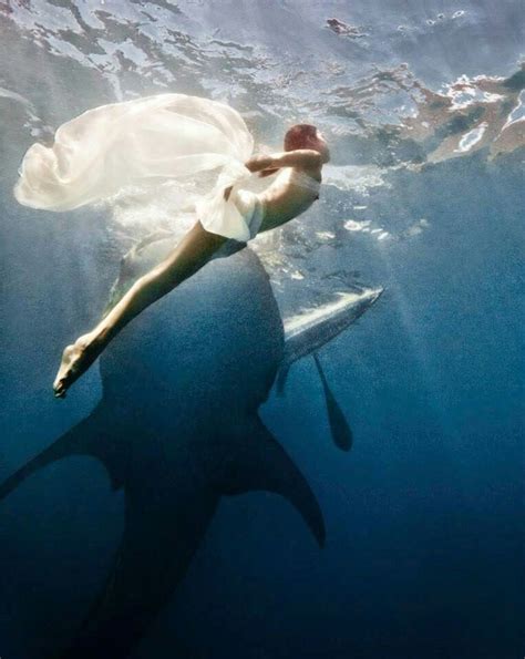 Amazing Underwater Shot Photography Underwater Images Underwater