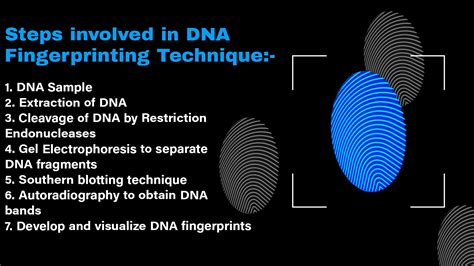 Cureus Dna Fingerprinting Use Of Autosomal Short Tandem Repeats In