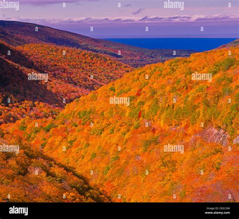 Fall At The Cabot Trail In Cape Breton Highlands National Park On Cape